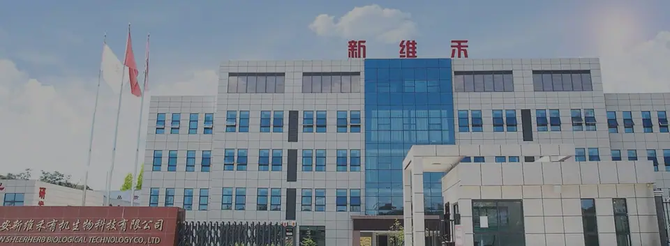 脂质体首页图片