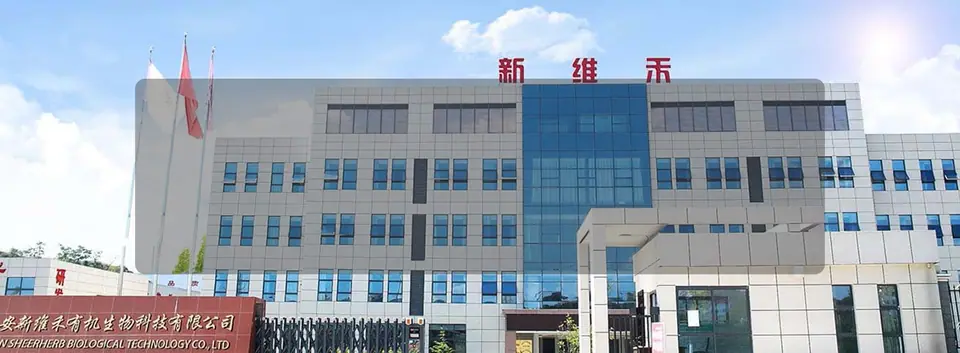 脂质体首页图片