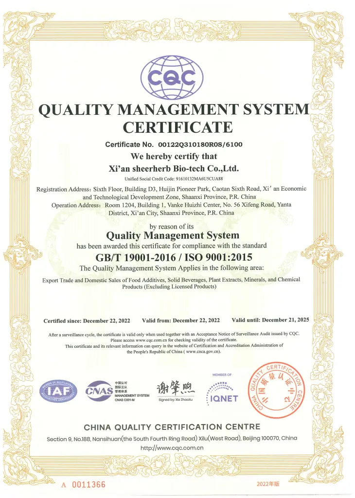 ISO 9001 certificate scan