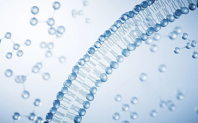 Liposome ingredient banner